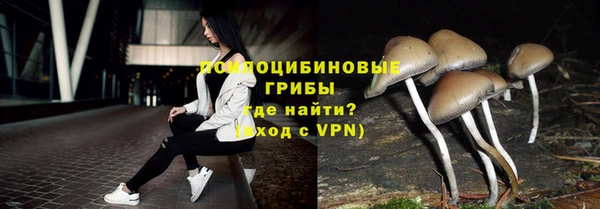 метадон Чердынь